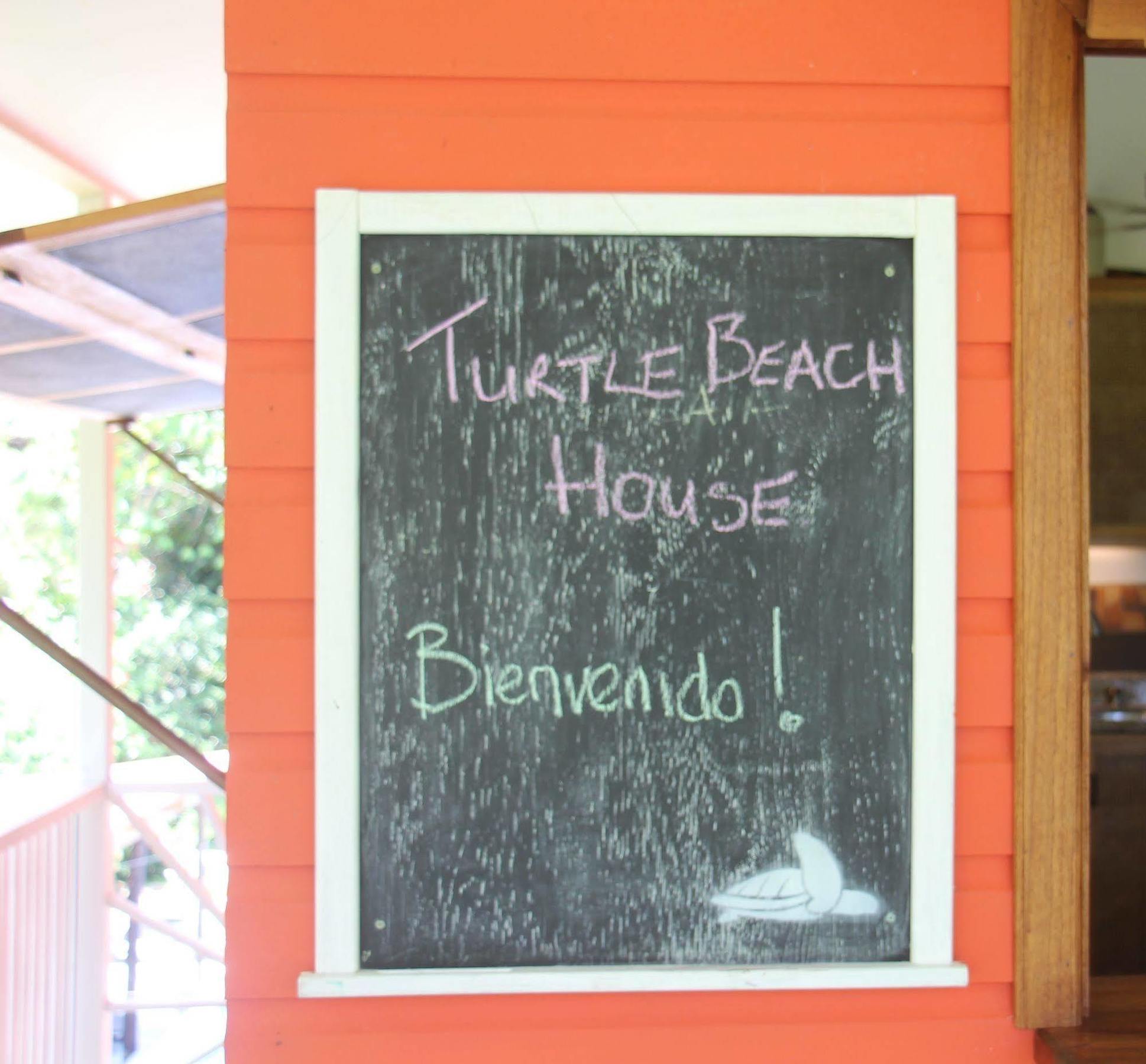 بوكاس تاون Turtle Beach House المظهر الخارجي الصورة